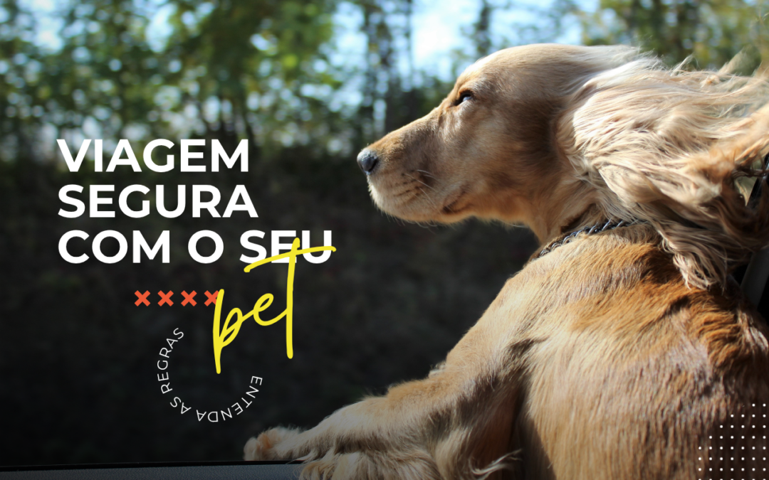 Viagem segura com seu pet: Entenda as regras do transporte de animais